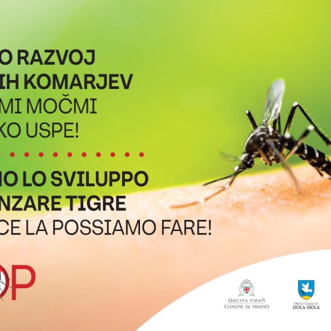 Slovenska Istra tudi letos s skupnimi ukrepi proti tigrastim komarjem    photo