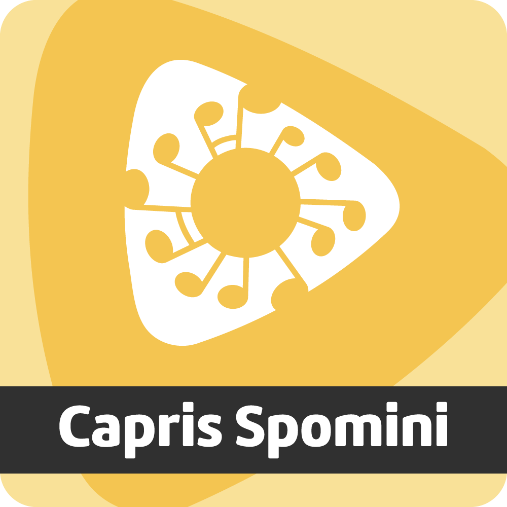 Radio Capris SPOMINI